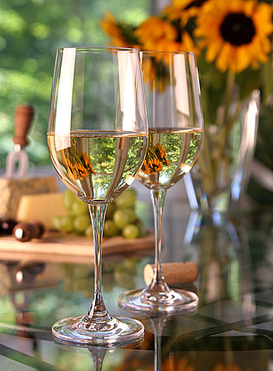 sauvignon blanc wine in two glasses