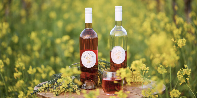 Two OneHope Wine Bloom Rosé bottles and full wine glass in stump in field